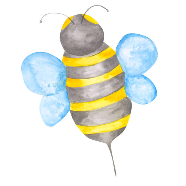 Adorable watercolor honey bee isolated on a white background. Hand-drawn insect illustration. Bumblebee clipart. Colorful bee character. Cute single animal. Happy bee poster. Adorable watercolor honey bee isolated on a white background. Hand-drawn insect illustration. Bumblebee clipart. Colorful bee character. Cute single animal. Happy bee poster. ant clipart pictures stock illustrations