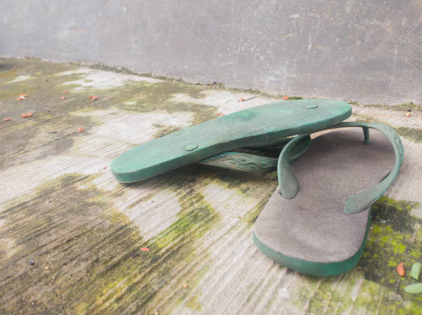 istock colorful, worn-out flip-flops on the mossy cement floor 1333712295