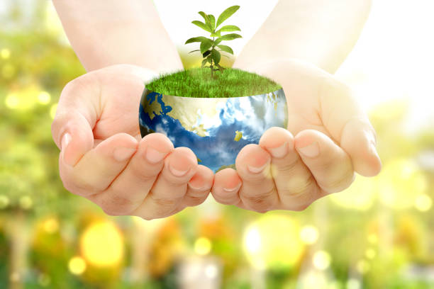 istock Human hands holding the earth with growing plants above it 1333714958