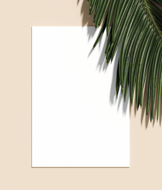 istock White paper and palm leaf on beige background, 3d rendering stock photo 1333715287