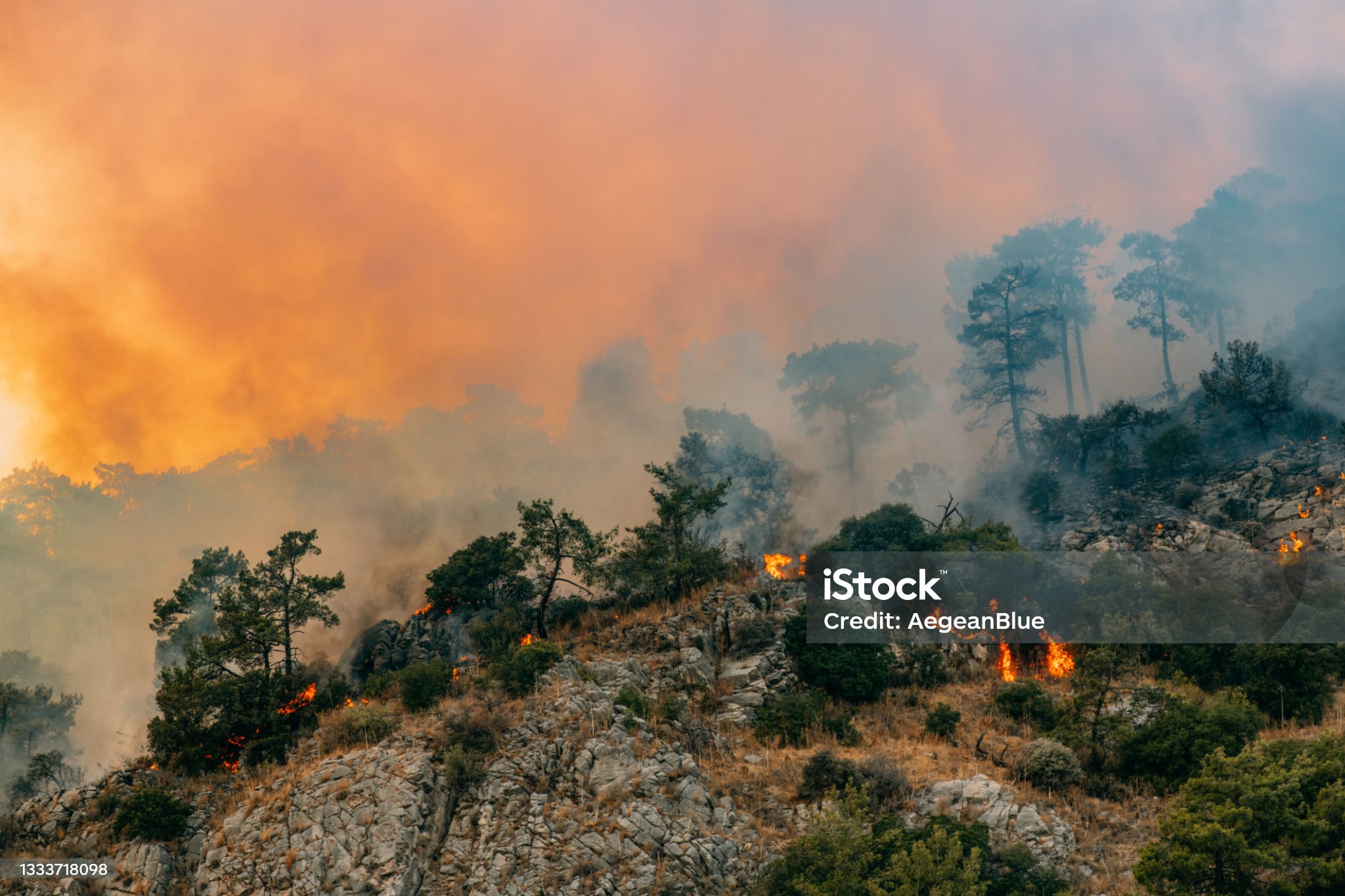 SVE VIŠE LJUDI ĆE UMIRATI: Dvije vodeće svjetske meteorološke organizacije objavile zastrašujuće prognoze — “Ovo niko ne želi da čuje” SVE VIŠE LJUDI ĆE UMIRATI: Dvije vodeće svjetske meteorološke organizacije objavile zastrašujuće prognoze — “Ovo niko ne želi da čuje”