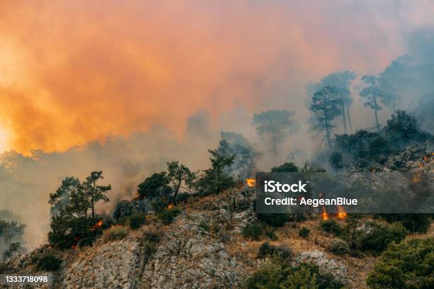 Forest Fires Caused By Climate Change Stock Photo - Download Image Now - Climate Change, Forest Fire, Crisis