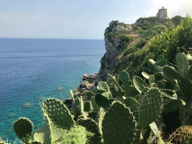 istock Italy - sicily - capo di Milazzo 1333718220
