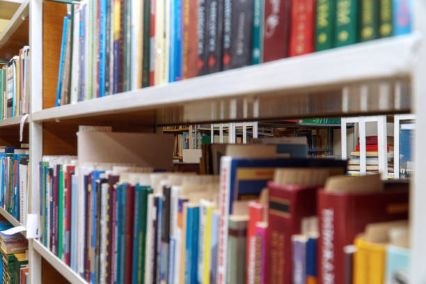istock Books on a shelf in the library 1333718265