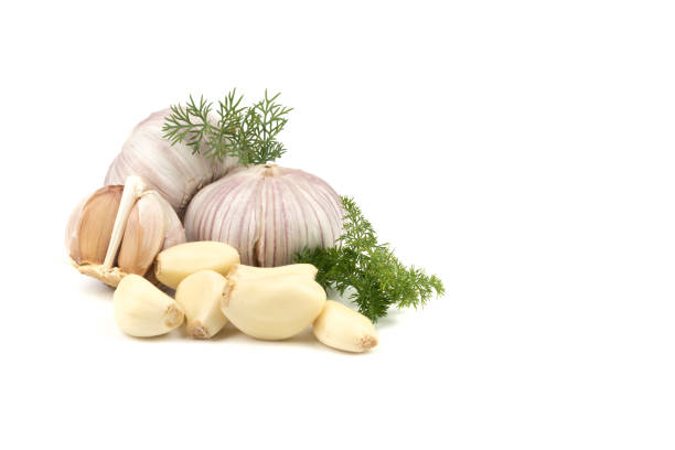 istock fresh garlic in heads and divided into teeth on a white isolated background 1333718313