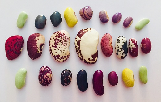 Brightly coloured heirloom beans against a white background.