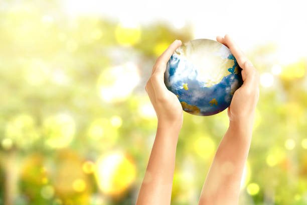istock Hand holding the earth with blurred light background 1333719376