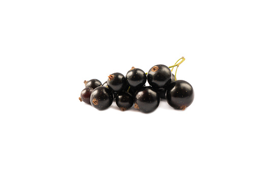Black berries on white. Blackcurrants isolated on white background. Blackcurrant isolate. Blackcurrants isolated on white background. Immunity system improvement.