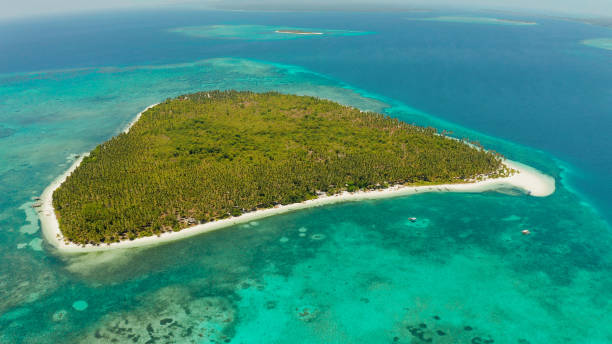 istock Tropical island with sandy beach. Balabac, Palawan, Philippines 1333724584