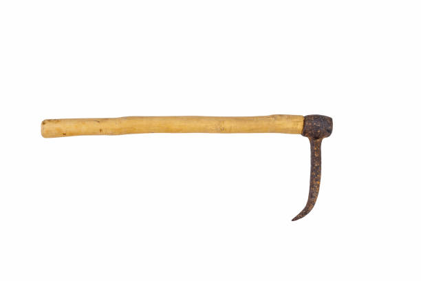 istock Old rusty steel elephant hook with wooden grip isolated on white 1333724707