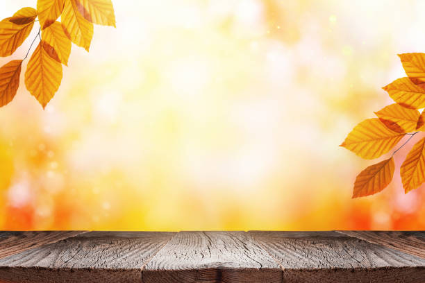 istock Empty wooden table and orange autumn leaves over blurred nature background. 1333724906