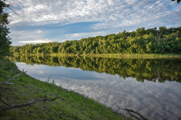 istock river flowing between the banks, which reflects the forest and cloudy sky 1333726450