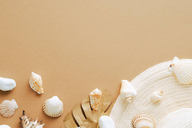istock Straw beach hat, golden monstera leaf, seashells on sandy background. Summer flat lay composition. 1333729926