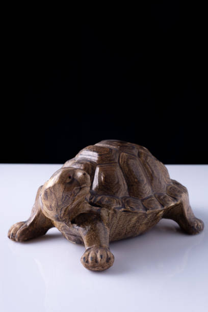 istock ceramic piggy bank turtle on white table and black background 1333731112