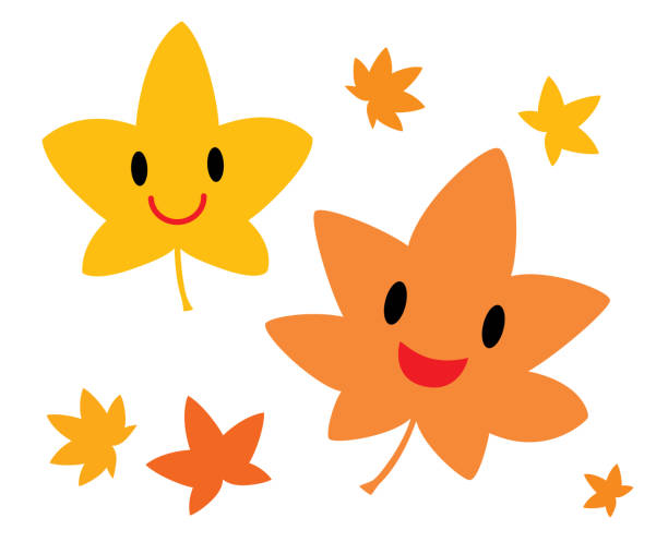 ilustraciones, imágenes clip art, dibujos animados e iconos de stock de dos lindos personajes de hojas de arce de otoño. - autumn leaf white background land