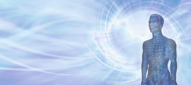 Acupuncture Model Energy Meridians Message Banner a flowing blue vortex energy background with half an acupuncture dummy in a blue colour showing meridians and space for copy acupuncture photos stock pictures, royalty-free photos & images