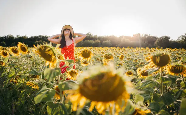 Photo of Woman with a hat in a sunflower field