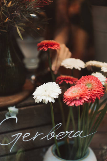 Beautiful Gerbera displayed In flower shop  through window