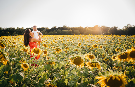 Mother with baby are having a fun and walking in the sunflower field