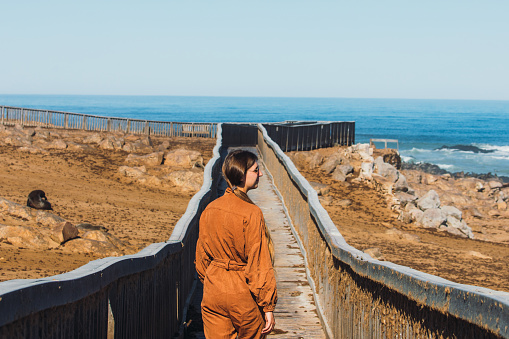 Young woman tourist exploring the Cape Cross wildlife reserve with a large group of fur seals at the beach from the wooden bridge in Namibia, Southern Africa