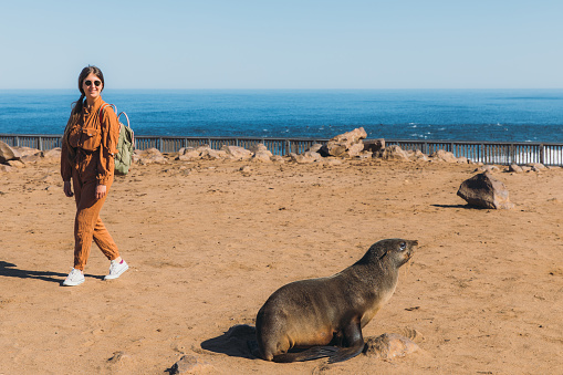 Young woman with backpack exploring the wildlife reserve with cute fur seals in Namibia, Southern Africa