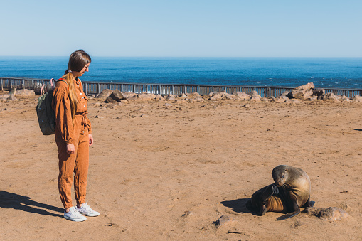 Young woman with backpack exploring the wildlife reserve with cute fur seals in Namibia, Southern Africa