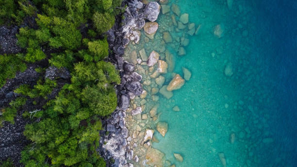 la divisione di terra e acqua - canadian beach foto e immagini stock