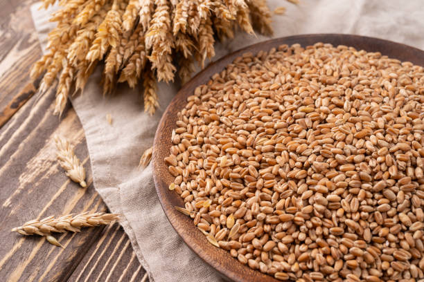 Bread baking background. Grain and ears scattered around on rustic wood Bread baking background. Grain and ears scattered around on rustic wood. Agricultural wheat harvest, bread making composition oat wheat oatmeal cereal plant stock pictures, royalty-free photos & images