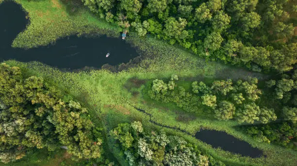 Photo of River wetland aerial view