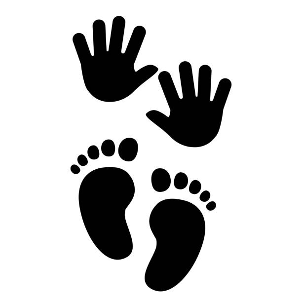 przedszkole, kinder symbol ogrodu - ręce i stopa dziecka. ikona wektora. - baby toe stock illustrations
