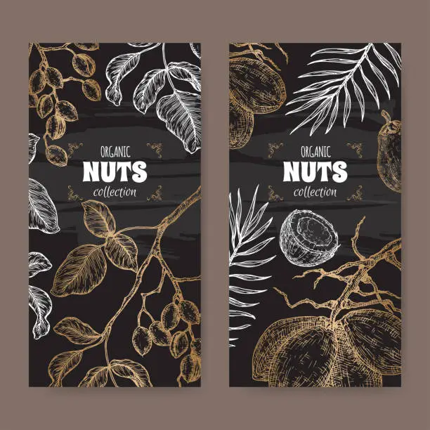 Vector illustration of Set of two labels with pistacia vera aka pistachio and Cocos nucifera aka coconut tree branch and nuts sketch on black.