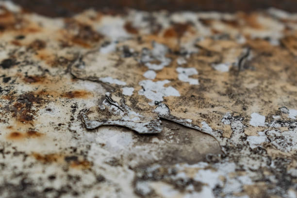 istock Rusty background with old white paint, traces of time 1333747017