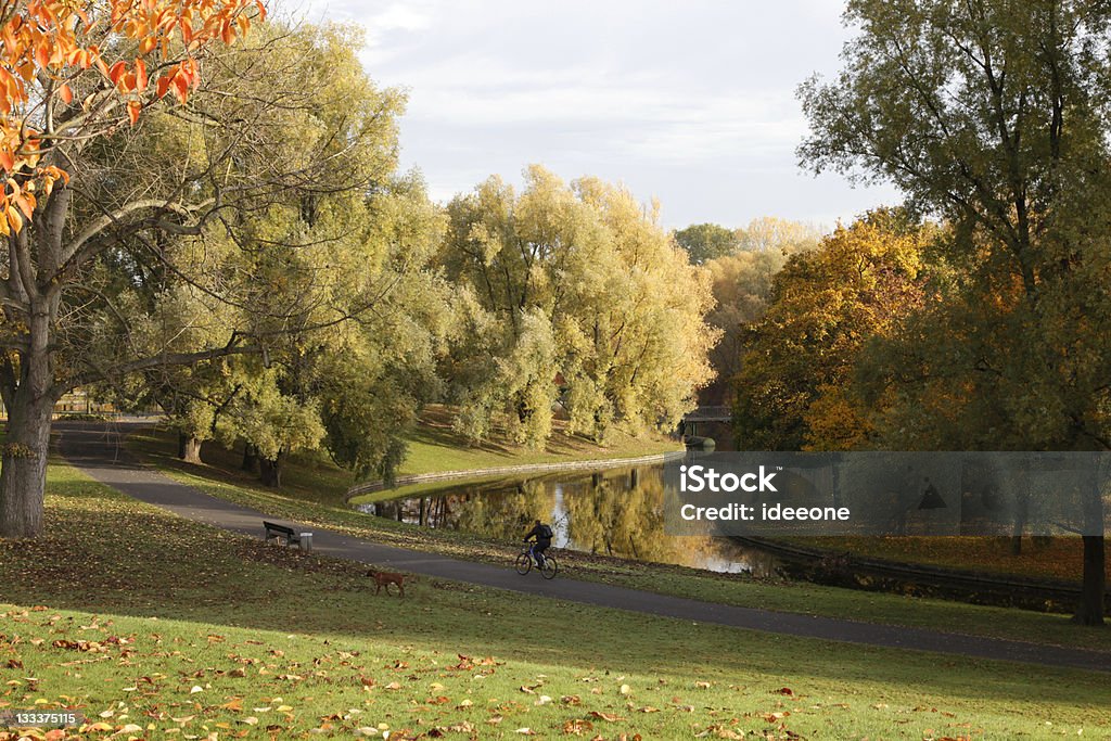 秋の公園 - サイクリングのロイヤリティフリーストックフォト
