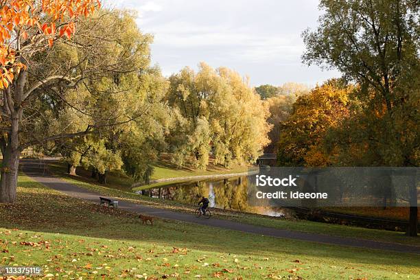 秋の公園 - サイクリングのストックフォトや画像を多数ご用意 - サイクリング, 公園, 犬