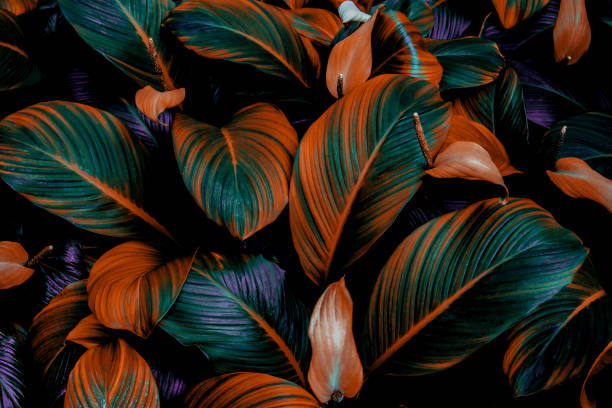 istock abstract green leaf texture, nature background, tropical leaf 1333751169