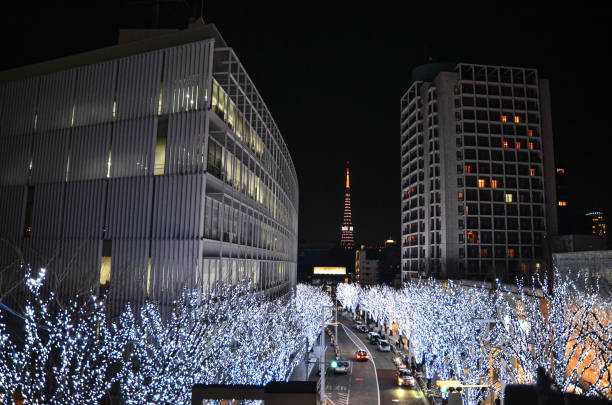 istock Tokyo city Christmas night sky view with red light 1333751677