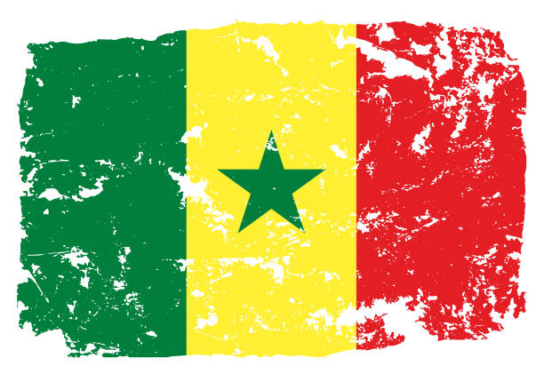 세네갈의 그런지 스타일의 깃발 - flag of senegal stock illustrations