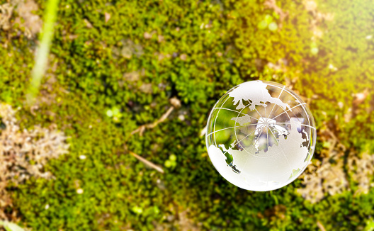 Earth crystal glass globe ball on moss in a forest. Earth day, wolrd environment day, Eco friendly and sustainable concept