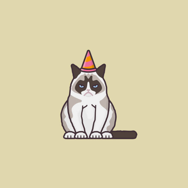 stockillustraties, clipart, cartoons en iconen met grumpy or blasé cat vector illustration - party hat icon