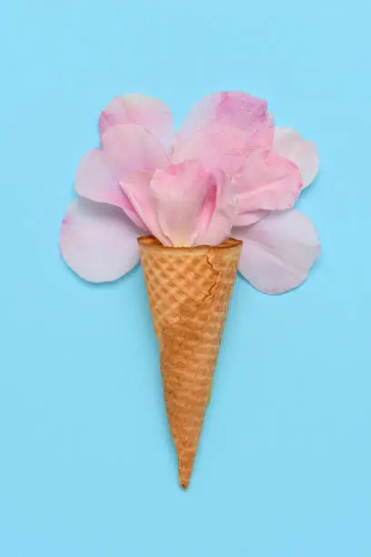 Pink Rose petals in an Ice Cream Cone on a blue background. Flat lay minimalist styling.