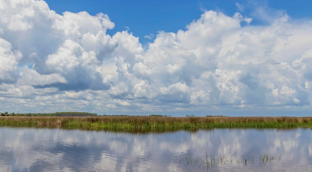 istock Cumulous clouds over marshland 1333757540