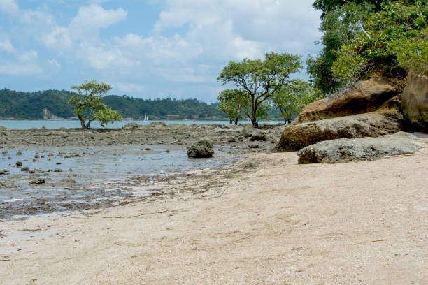 istock Caboto beach in Candeias. 1333757671
