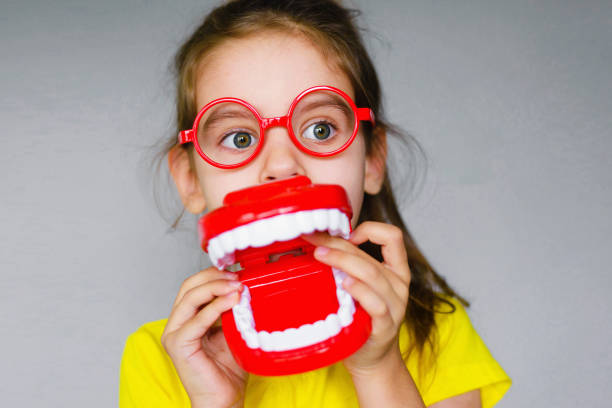 Little funny girl kid with toothbrush, dental mockup (jaw), red glasses in hand. Concept of health, oral hygiene, people and beauty. Space for your text. Selective focus. Little funny girl kid with toothbrush, dental mockup (jaw), red glasses in hand. Concept of health, oral hygiene, people and beauty. Space for your text. Selective focus. pediatric dentistry stock pictures, royalty-free photos & images