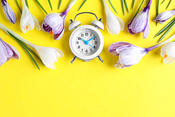 istock White alarm clock with spring flowers and space for text on yellow background, flat lay. Time change 1333760420