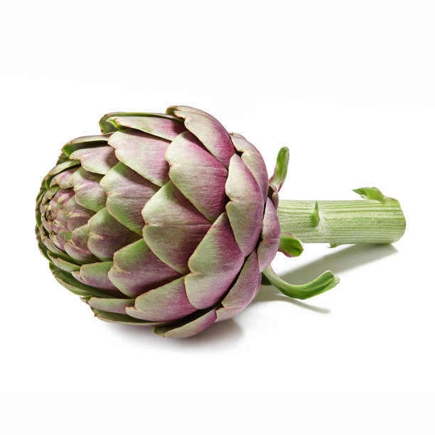 artichaut violet frais isolé sur fond blanc - artichoke vegetable isolated food photos et images de collection