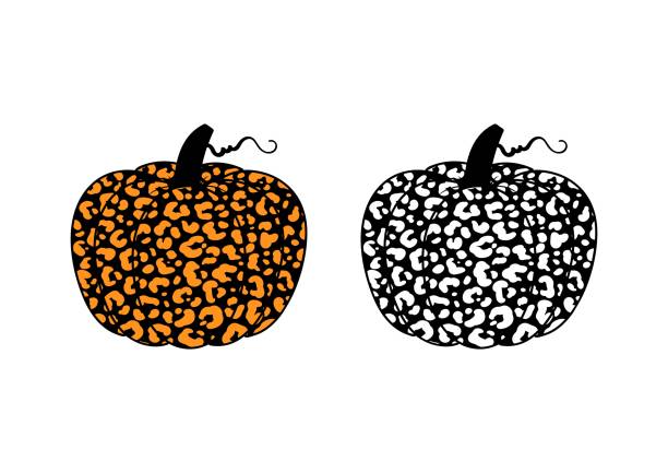 Vector two pumpkins or cucurbita with leopard print on white background. Orange and black silhouette pumpkin vegetable for farm market, fall banners, Thanksgiving, Halloween. Autumn Cucurbita. Vector two pumpkins or cucurbita with leopard print on white background. Orange and black silhouette pumpkin vegetable. cute cheetah print cartoon stock illustrations