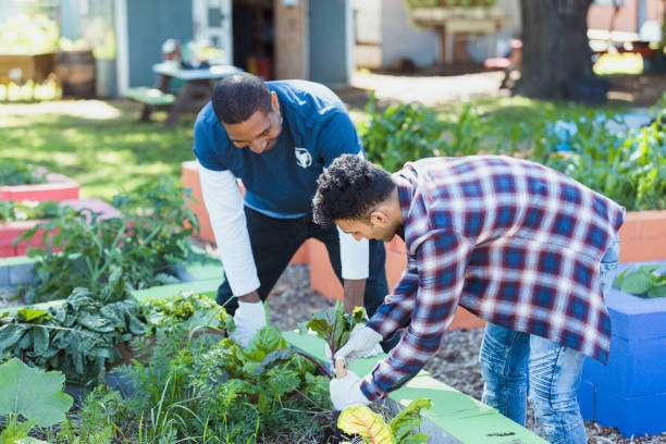 istock At community gardens, man learns to tend plants 1333762903