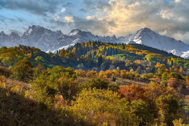 drzewa z jesiennymi liśćmi na zboczach gór zailiyskiy alatau w kazachstanie na tle wyrazistego nieba - alatau zdjęcia i obrazy z banku zdjęć