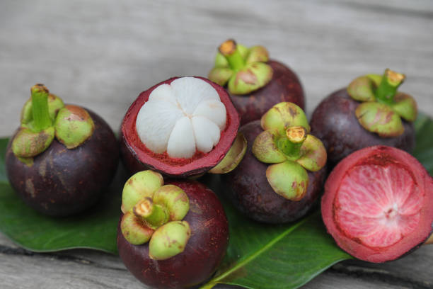 istock mangosteen , Mangosteen in Southern Thailand 1333765392