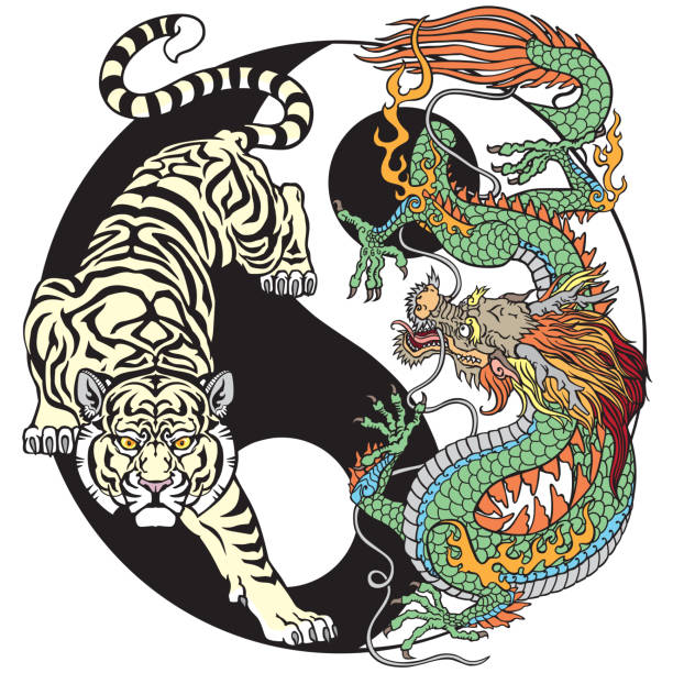 ilustrações de stock, clip art, desenhos animados e ícones de white tiger versus green dragon in the yin yang symbol - tao symbol